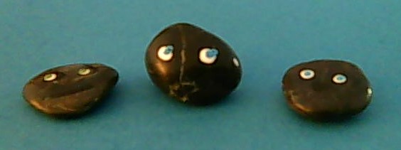 Dark Pet Rocks