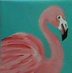 Flamingo