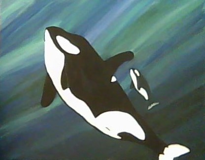 Orca and Baby
