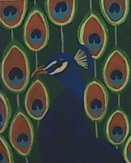 Peacock