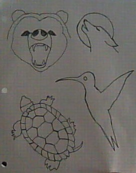 Wolf, Bear, Turtle and Hummingbird