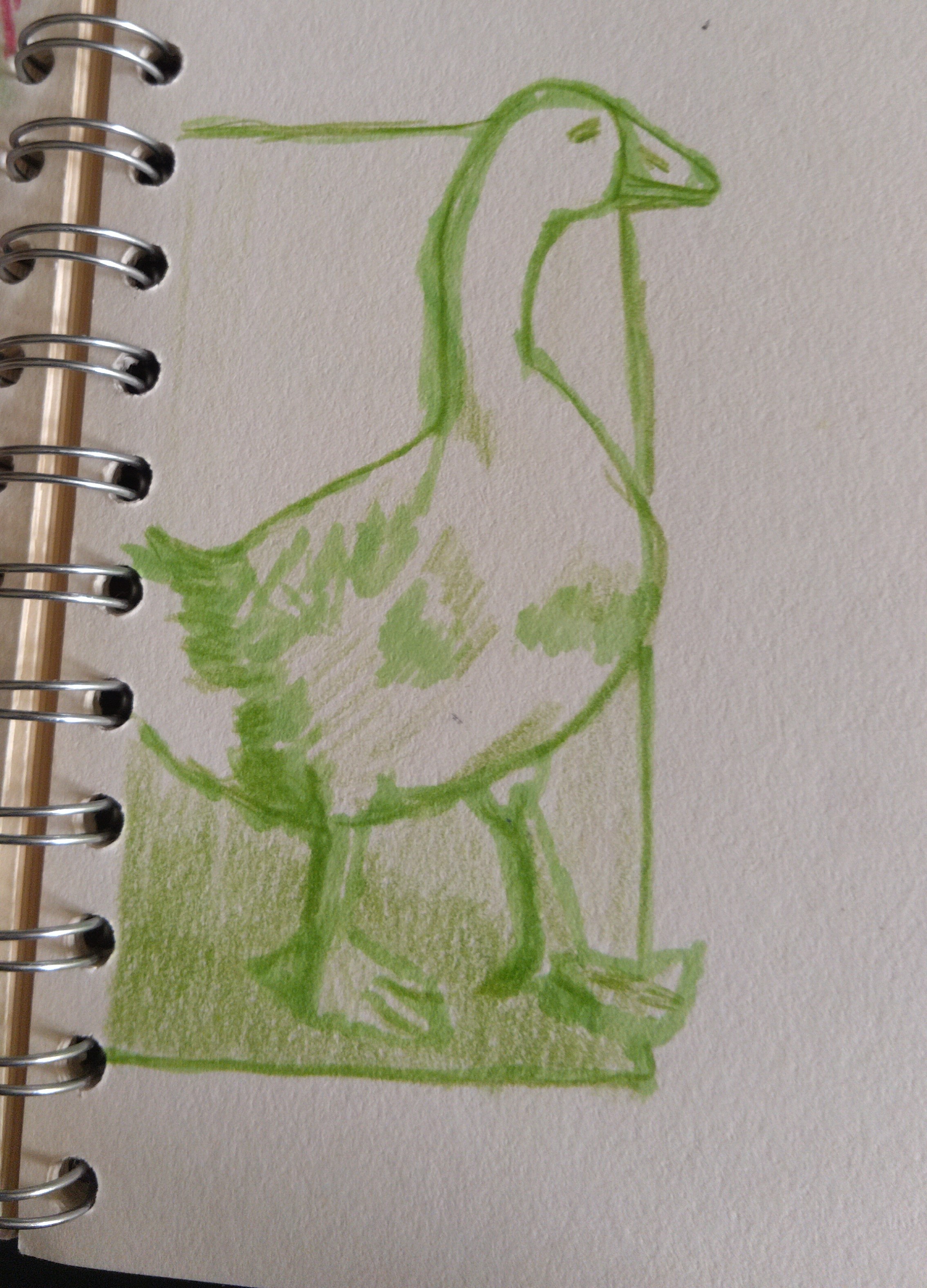 Goose