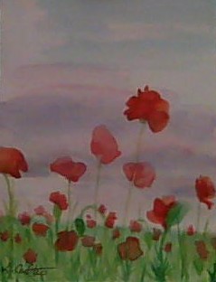 Poppy Field