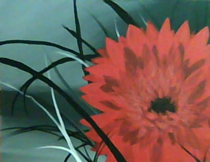 Red Flower