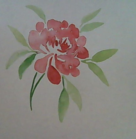 Red Peony
