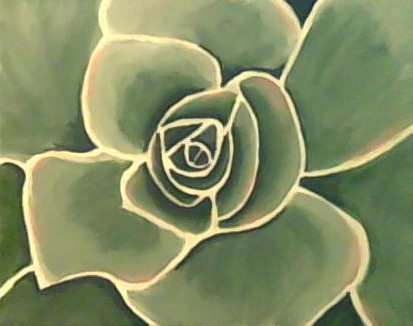 Succulent