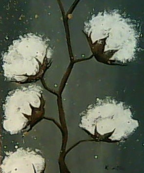 The Cotton Branch