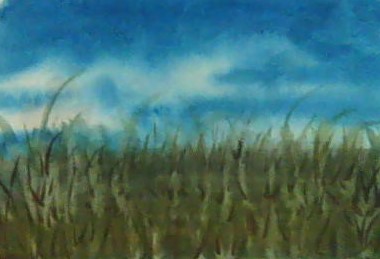 Grass Study