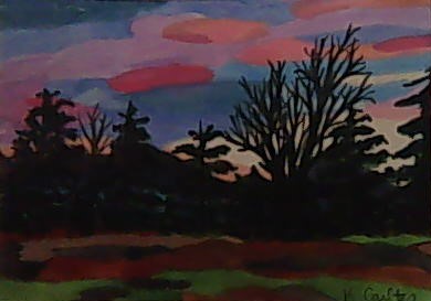 Light Through the Trees