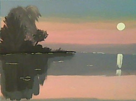 Moonlight Reflection